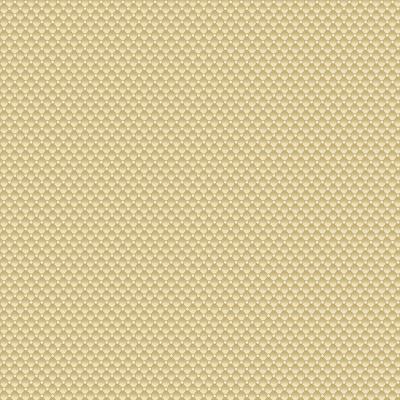 Tissu ANDOVER BELLE ROSE Ombre crème