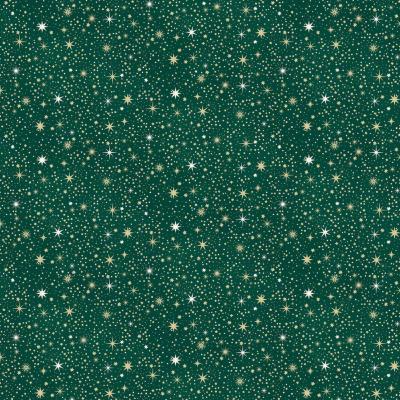Tissu MAKOWER NOEL ENCHANTE 028_G