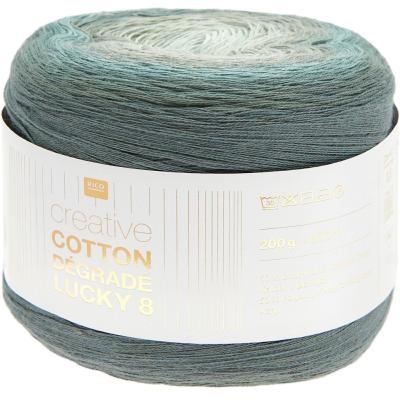 Pelote Creative COTON RICO DESIGN dégradée LIERRE 024