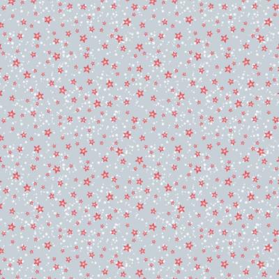 Tissu  NOËL ACUFACTUM "  Sternenhimmel"
