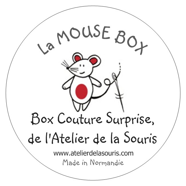 MOUSE BOX de Noël 2020