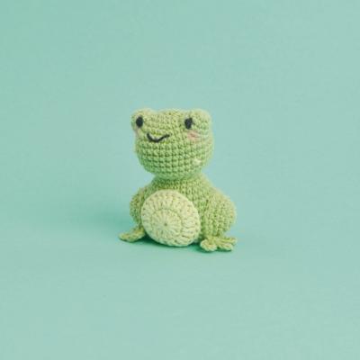 Kit Crochet GRENOUILLE