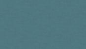 LINEN TEXTURE  1473 T6