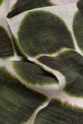 Tissu Lin et Viscose crème et vert