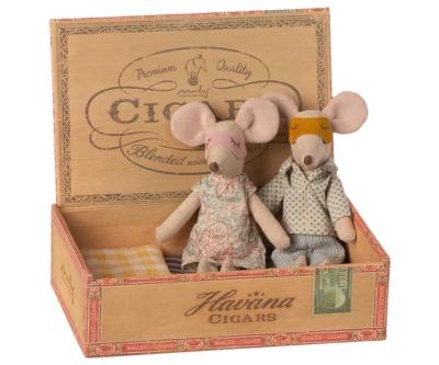 Papa et Maman Souris dans boite d'allumettes